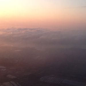 Meet your Posher, Amelia